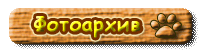 Фото из прошлого